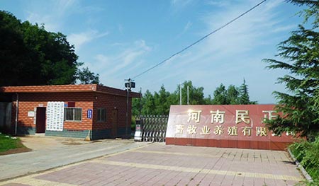 民正农牧签约上线易农猪场生产管理系统