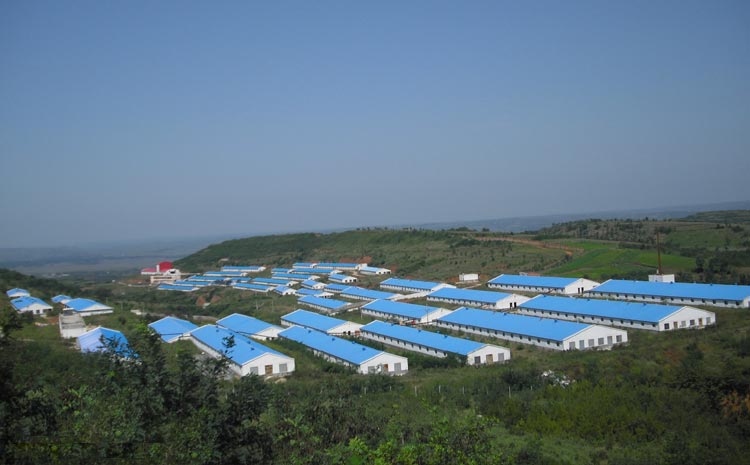 与民正牧业合作